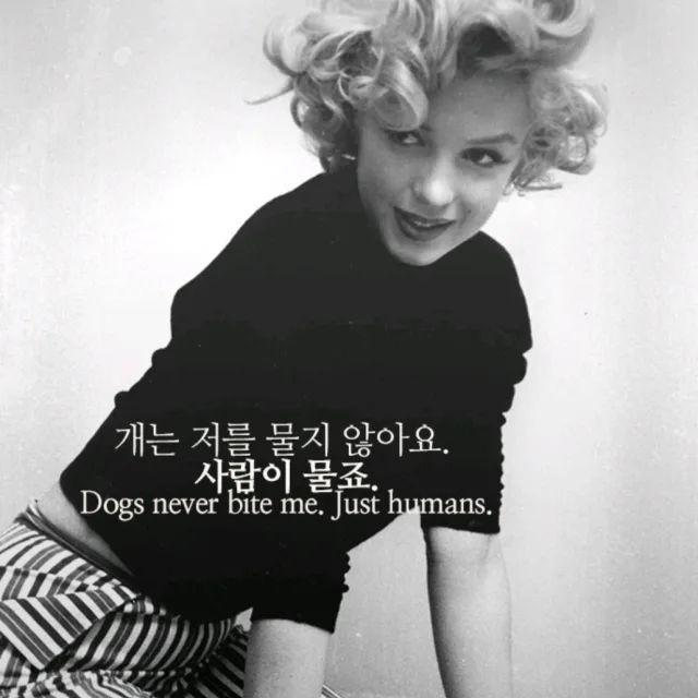 aa삐그레그라고