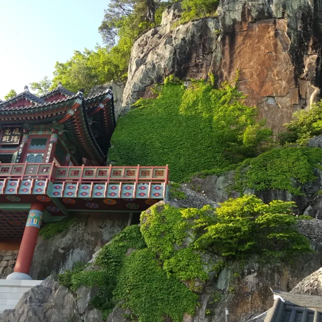 파라오