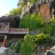 파라오