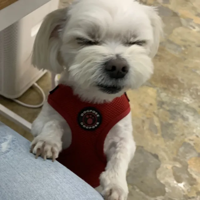 profile