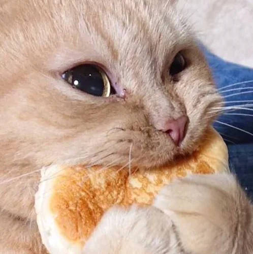 친절이