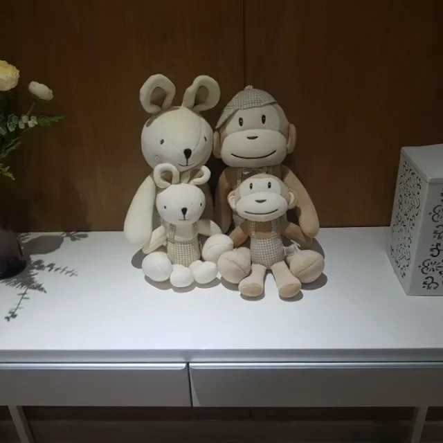 그레이스