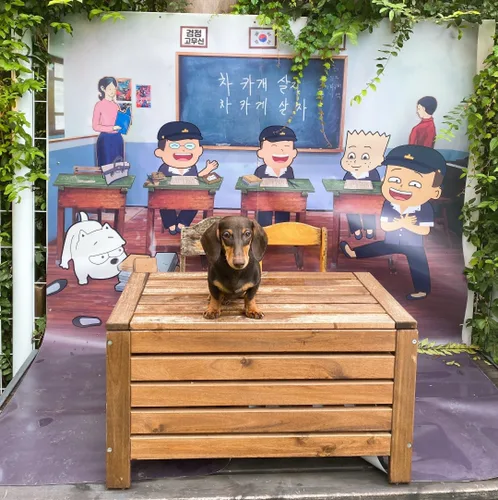 감자맘