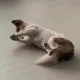 디디