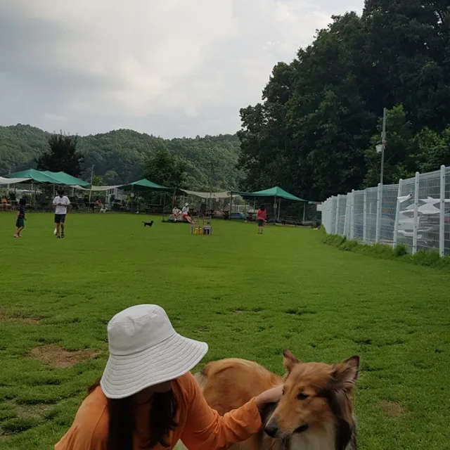무화과
