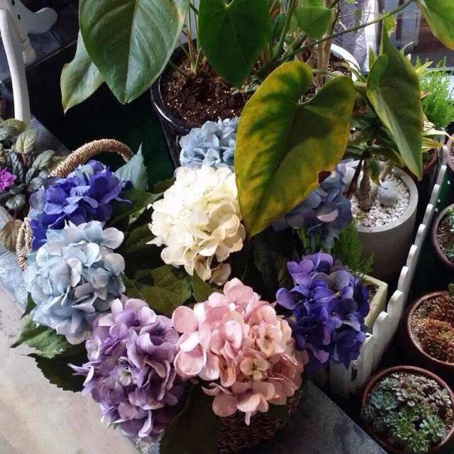 리뷰 프로필 이미지