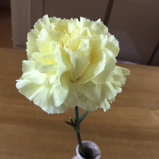 로즈마리