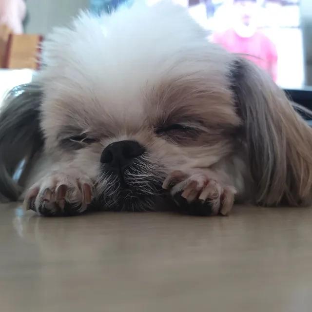 백두
