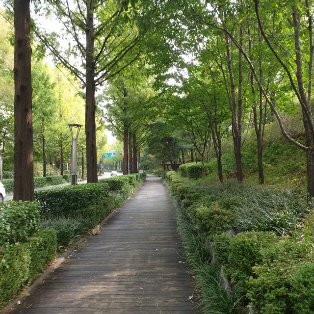 요롤레이