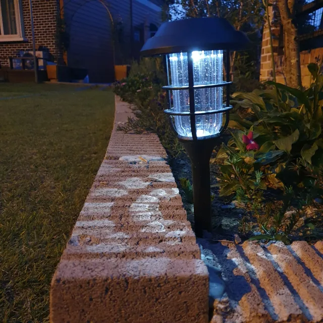 순실