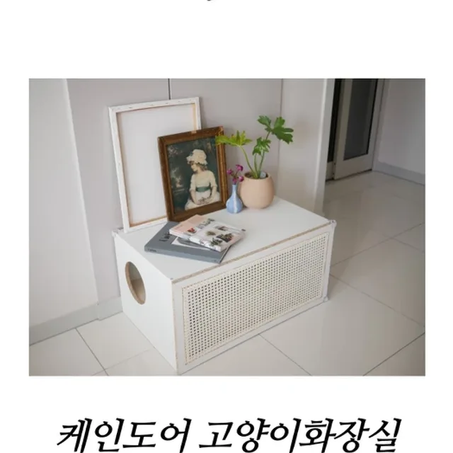 케논