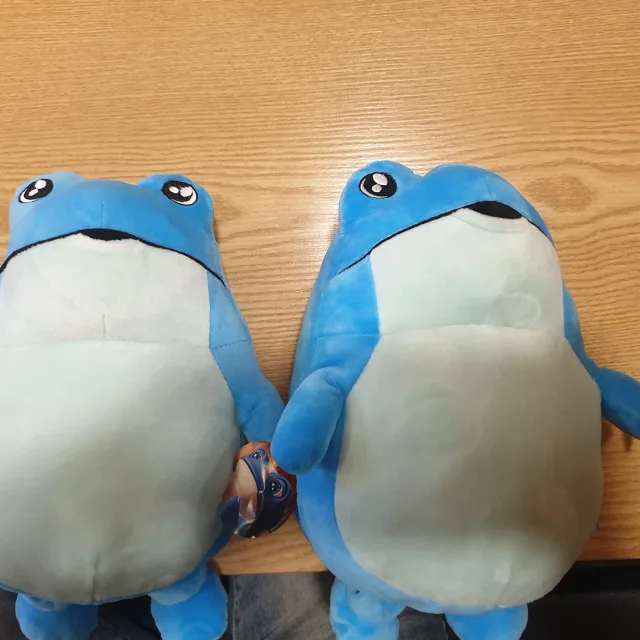 굴미
