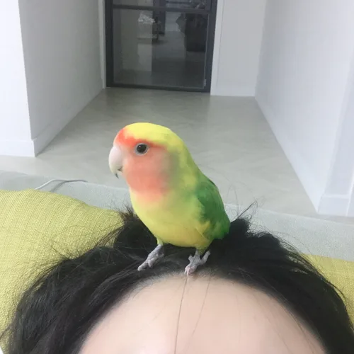 뚝지