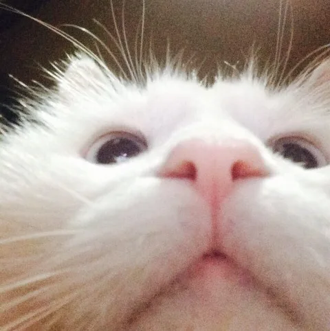 1002