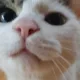 꽃돌이아빠