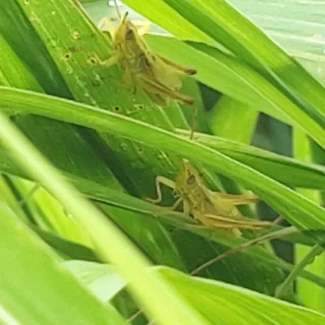 공기