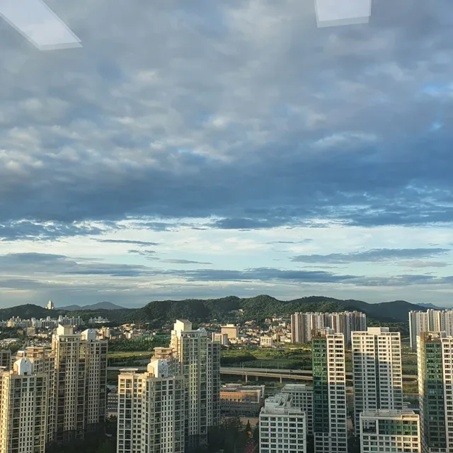아기돼지삼형제
