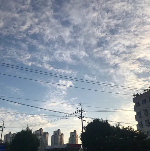쏘쏘