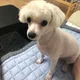 상남