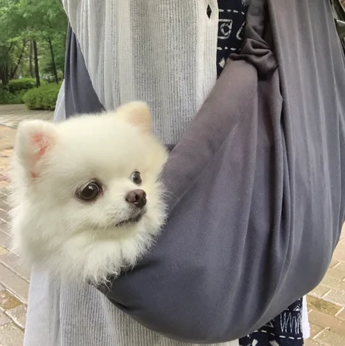 복실언냐