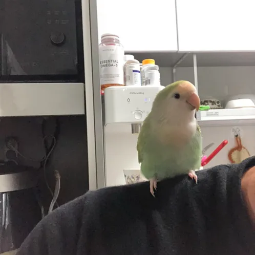 profile