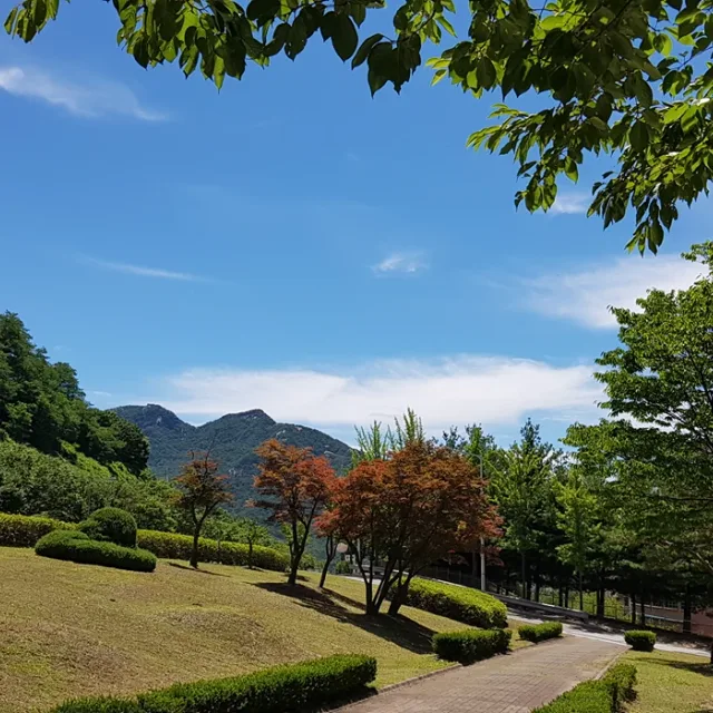 바른소금