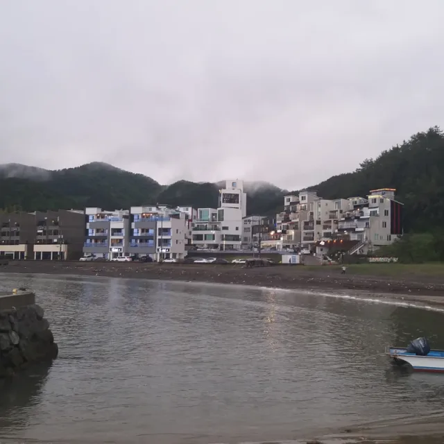 미니모