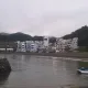 미니모