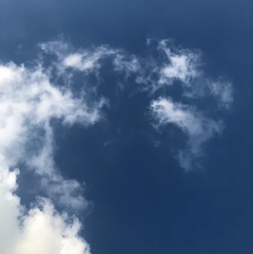 하늘이