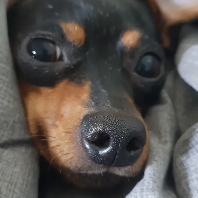 발토