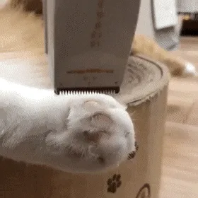 무소유