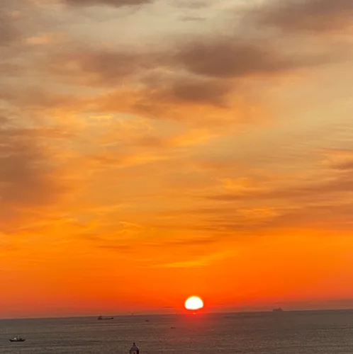 만회