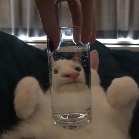 우파루파