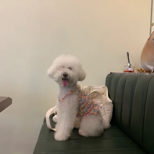 북구시민