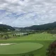 로이