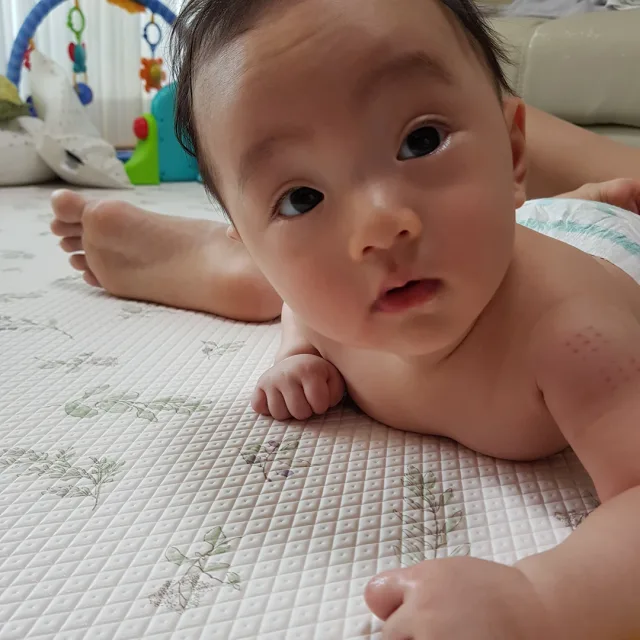 오맹달