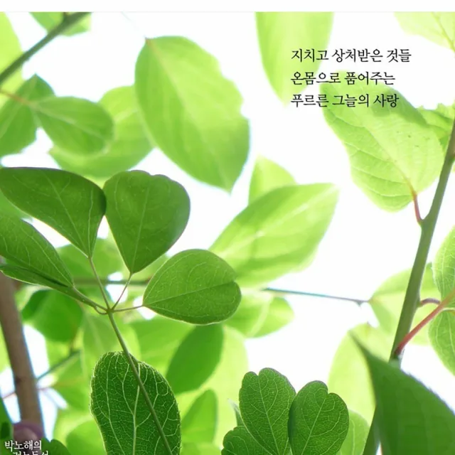레고고고