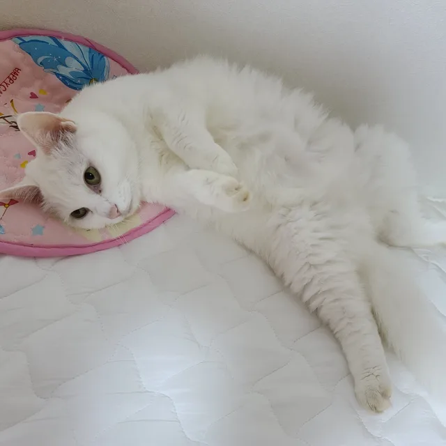 은지