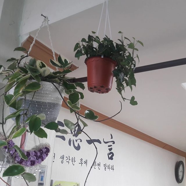 주야맘