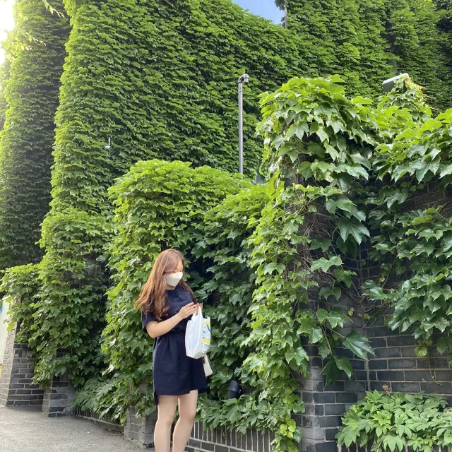 어여둥둥