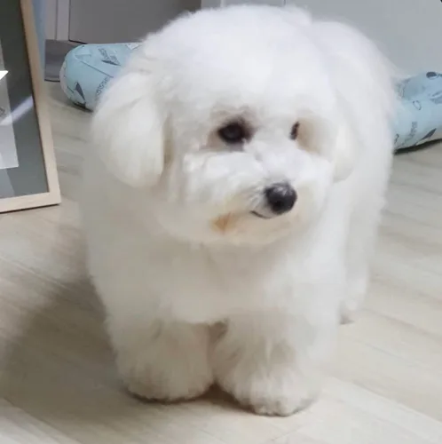 이응