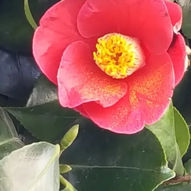 힘내자