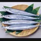 꽁치31