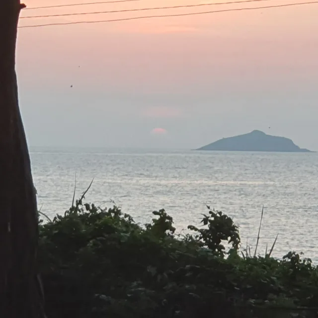 보들이아빠