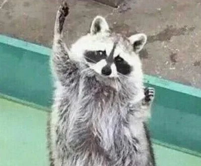 롼롼