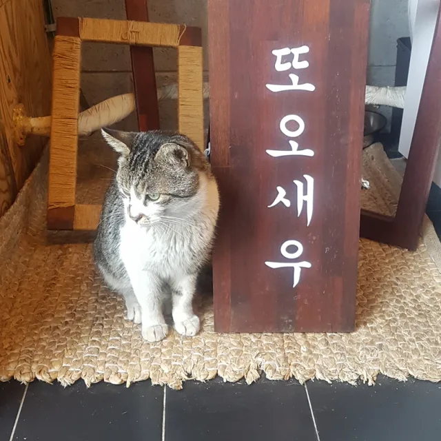 반딧불이