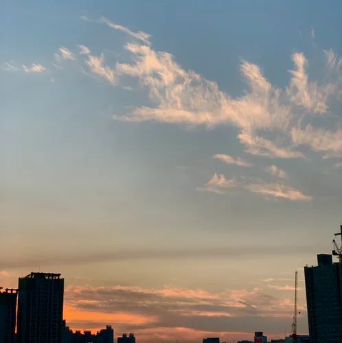 이젤리