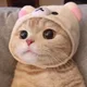 뿌셔링