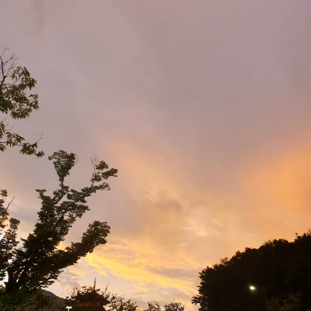 옥수수