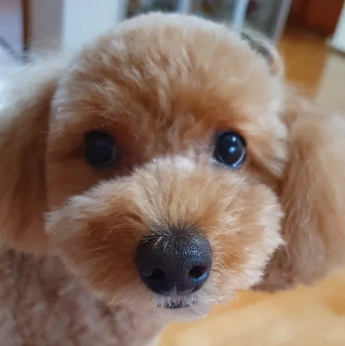 하이헬로맘